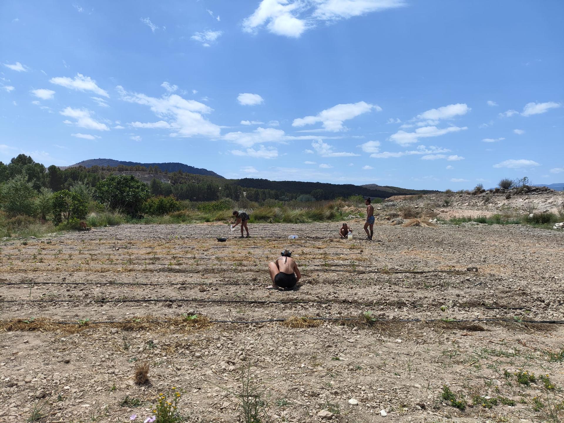 Fotos 2024 08 13 002