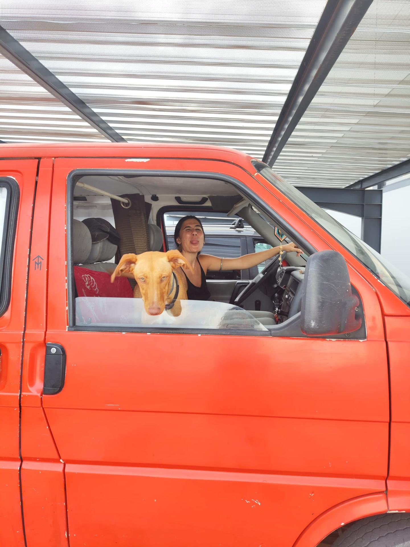 Fotos 2024 08 13 007